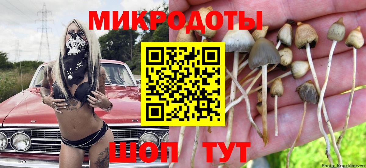 Галлюциногенные грибы мухоморы Арсеньев